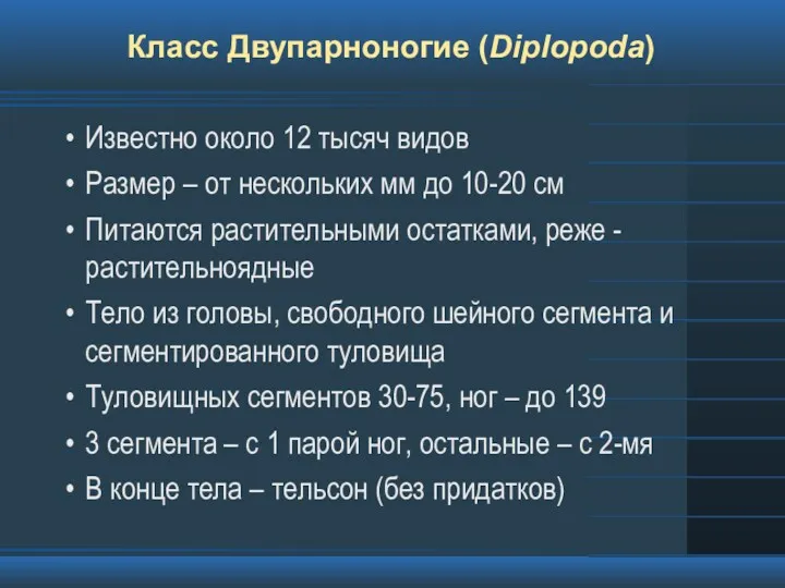 Класс Двупарноногие (Diplopoda) Известно около 12 тысяч видов Размер –