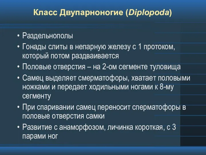 Класс Двупарноногие (Diplopoda) Раздельнополы Гонады слиты в непарную железу с