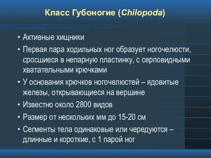 Класс Губоногие (Chilopoda) Активные хищники Первая пара ходильных ног образует