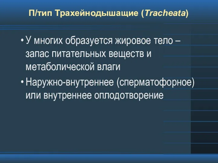 П/тип Трахейнодышащие (Tracheata) У многих образуется жировое тело – запас