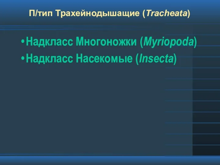 П/тип Трахейнодышащие (Tracheata) Надкласс Многоножки (Myriopoda) Надкласс Насекомые (Insecta)