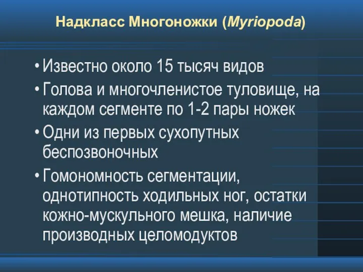 Надкласс Многоножки (Myriopoda) Известно около 15 тысяч видов Голова и