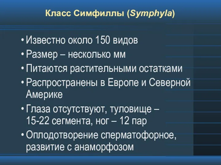 Класс Симфиллы (Symphyla) Известно около 150 видов Размер – несколько