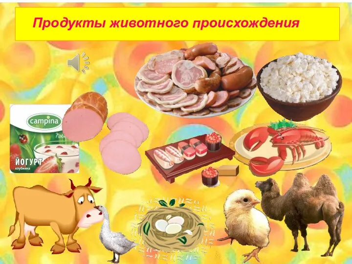 Продукты животного происхождения