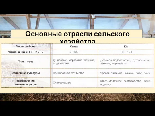 Основные отрасли сельского хозяйства