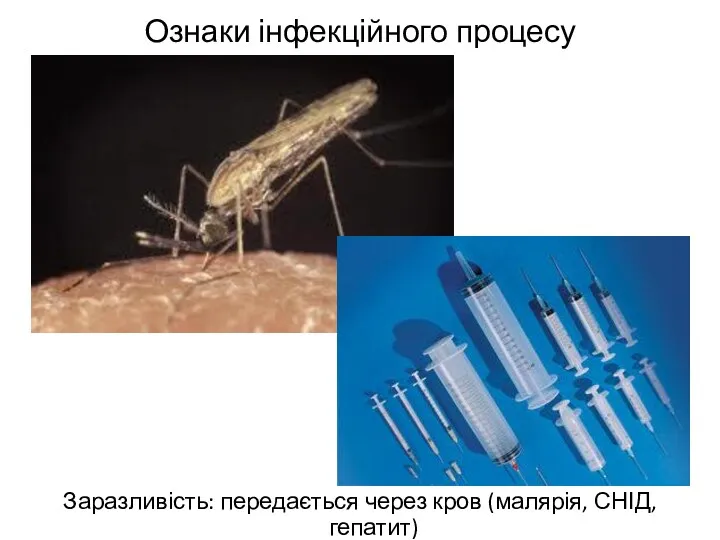 Ознаки інфекційного процесу Заразливість: передається через кров (малярія, СНІД, гепатит)