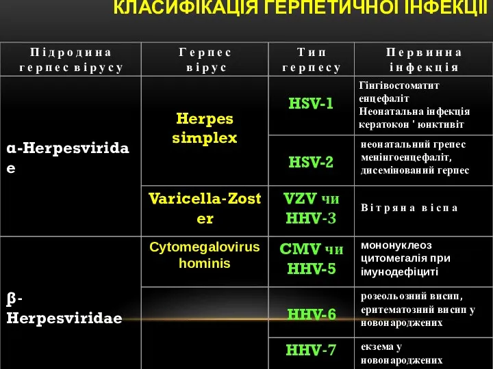 КЛАСИФІКАЦІЯ ГЕРПЕТИЧНОЇ ІНФЕКЦІЇ