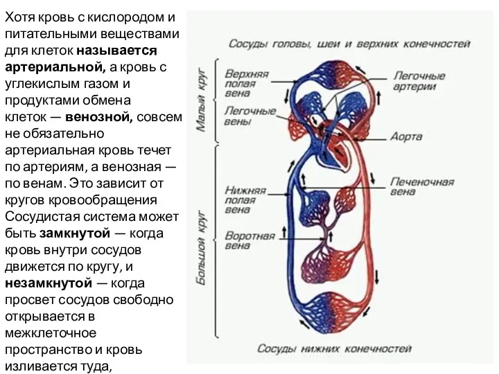 Хотя кровь с кислородом и питательными веществами для клеток называется