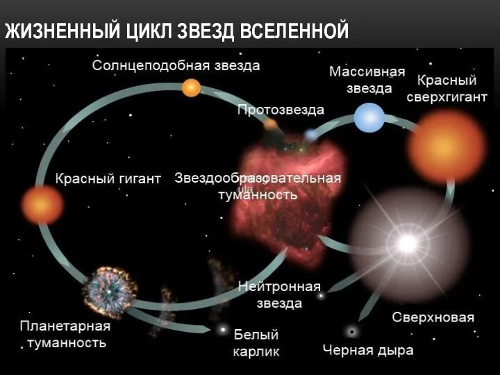 ЖИЗНЕННЫЙ ЦИКЛ ЗВЕЗД ВСЕЛЕННОЙ