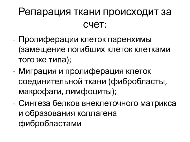 Репарация ткани происходит за счет: Пролиферации клеток паренхимы (замещение погибших