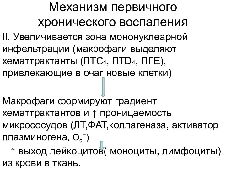 Механизм первичного хронического воспаления ΙΙ. Увеличивается зона мононуклеарной инфельтрации (макрофаги