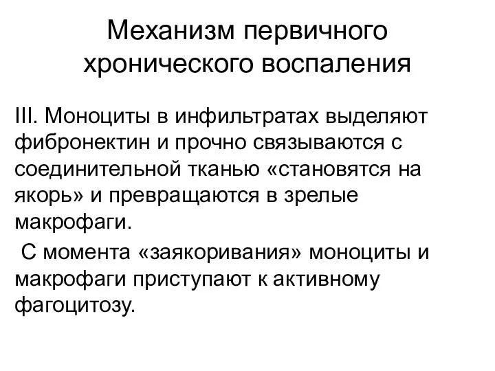 Механизм первичного хронического воспаления ΙΙΙ. Моноциты в инфильтратах выделяют фибронектин