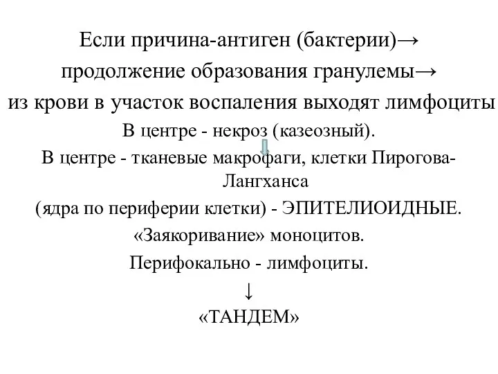 Если причина-антиген (бактерии)→ продолжение образования гранулемы→ из крови в участок