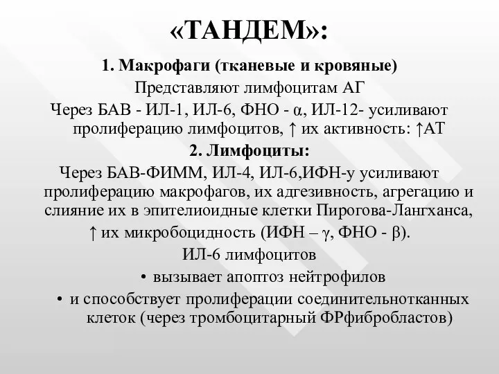 «ТАНДЕМ»: 1. Макрофаги (тканевые и кровяные) Представляют лимфоцитам АГ Через