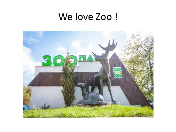 We love Zoo !