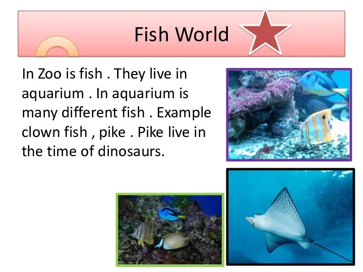 Fish World In Zoo is fish . They live in