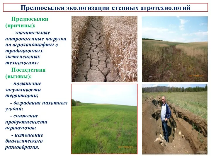 Предпосылки экологизации степных агротехнологий Предпосылки (причины): - значительные антропогенные нагрузки