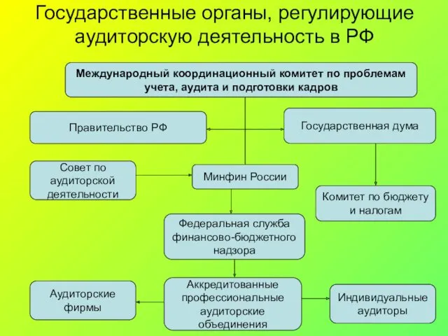 Государственные органы, регулирующие аудиторскую деятельность в РФ Аудиторские фирмы Государственная дума