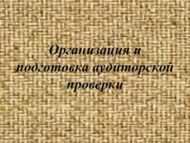 Организация и подготовка аудиторской проверки