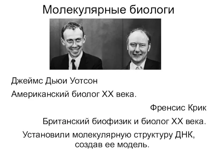 Молекулярные биологи Джеймс Дьюи Уотсон Американский биолог XX века. Френсис