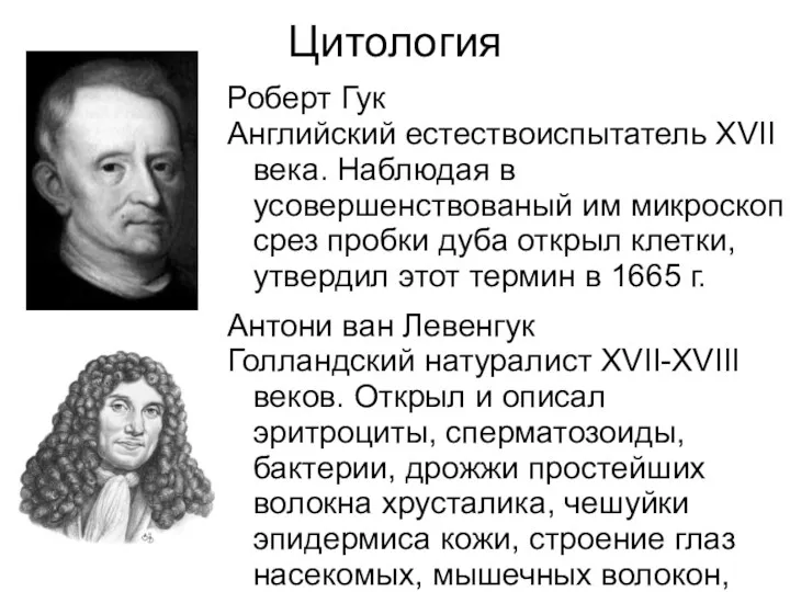 Цитология Роберт Гук Английский естествоиспытатель XVII века. Наблюдая в усовершенствованый