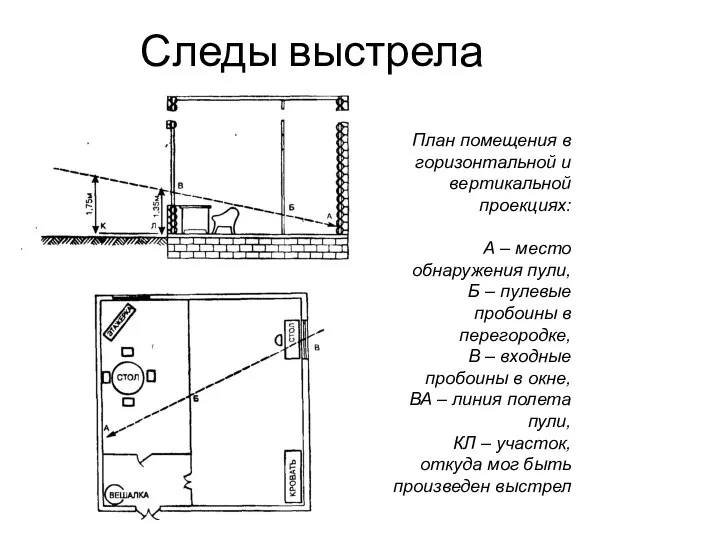 Следы выстрела План помещения в горизонтальной и вертикальной проекциях: А