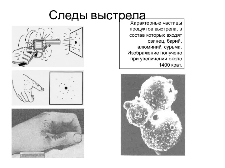 Следы выстрела