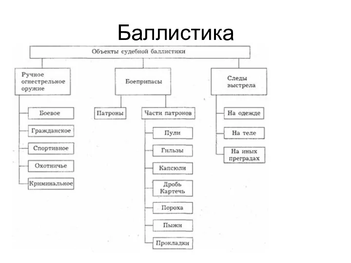 Баллистика