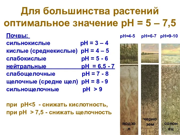 Для большинства растений оптимальное значение рН = 5 – 7,5 Почвы: рН=4-5 рН=6-7