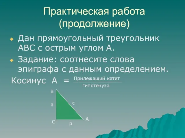 Практическая работа (продолжение) Дан прямоугольный треугольник АВС с острым углом