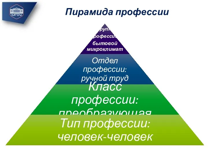 Пирамида профессии