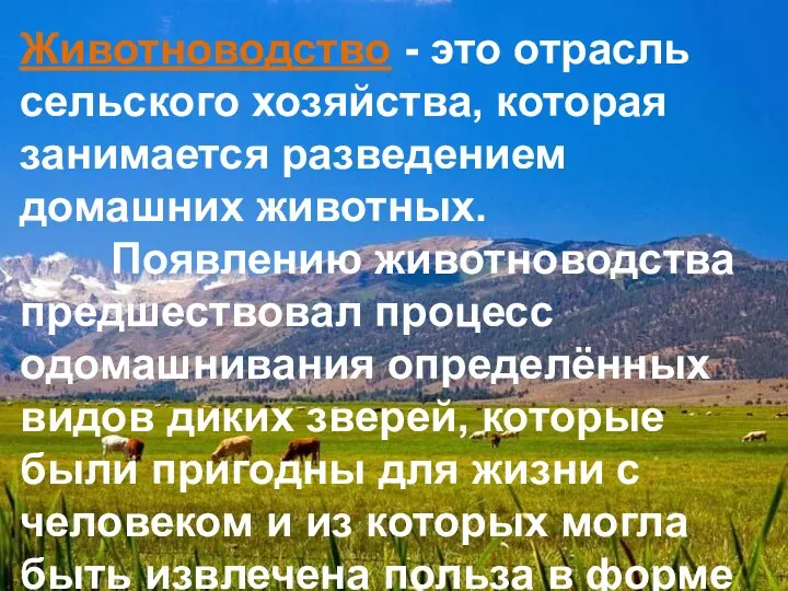 Животноводство - это отрасль сельского хозяйства, которая занимается разведением домашних