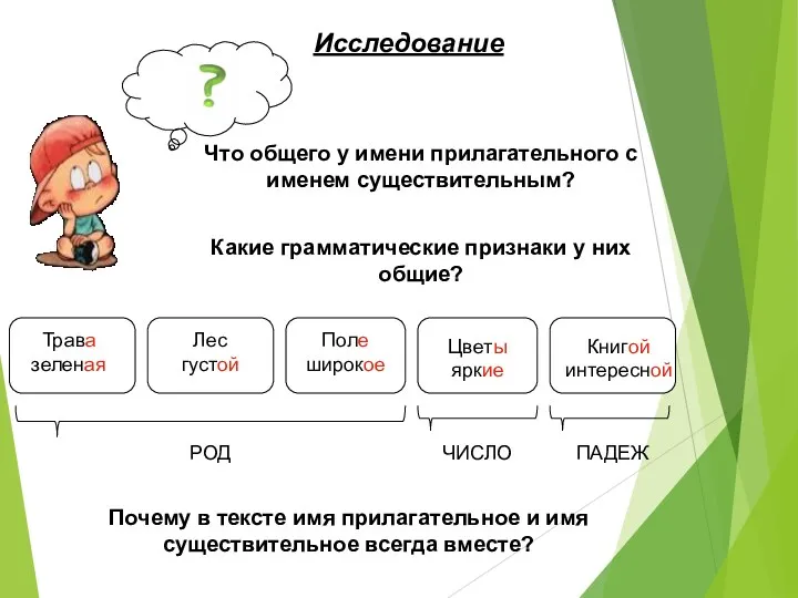 Исследование Что общего у имени прилагательного с именем существительным? Какие