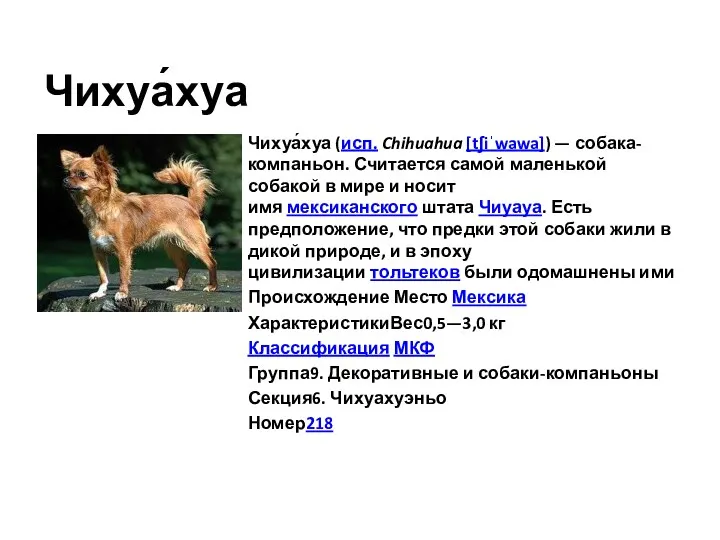 Чихуа́хуа Чихуа́хуа (исп. Chihuahua [tʃiˈwawa]) — собака-компаньон. Считается самой маленькой собакой в мире