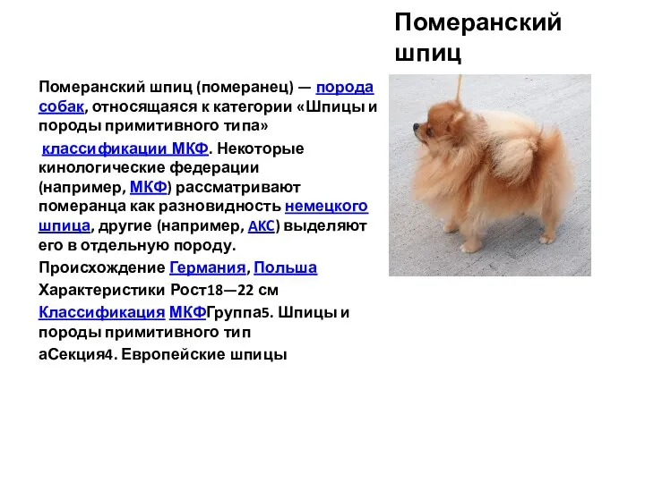Померанский шпиц Померанский шпиц (померанец) — порода собак, относящаяся к категории «Шпицы и