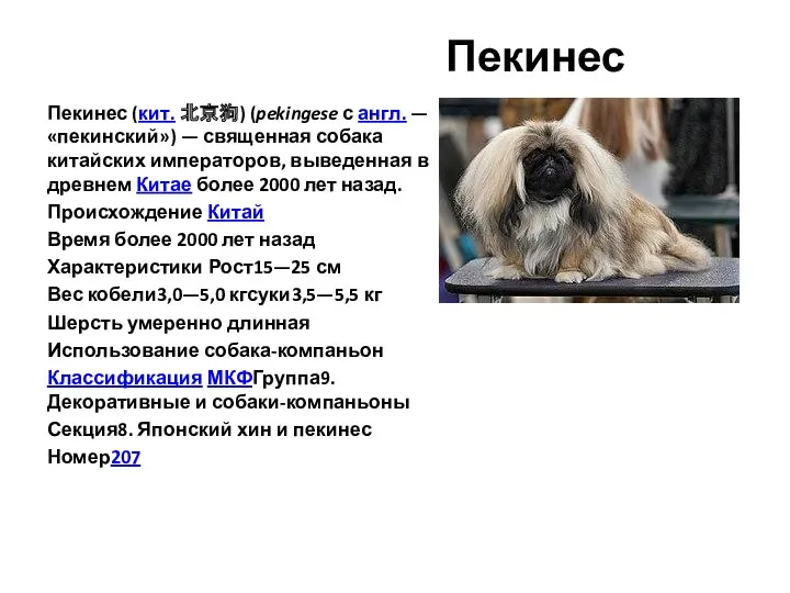 Пекинес Пекинес (кит. 北京狗) (pekingese с англ. — «пекинский») — священная собака китайских