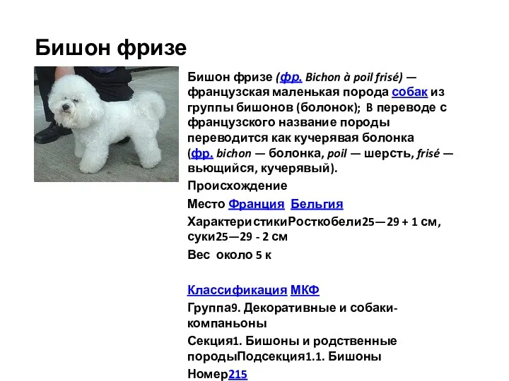 Бишон фризе Бишон фризе (фр. Bichon à poil frisé) — французская маленькая порода