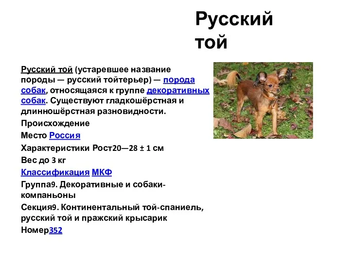 Русский той Русский той (устаревшее название породы — русский тойтерьер) — порода собак,