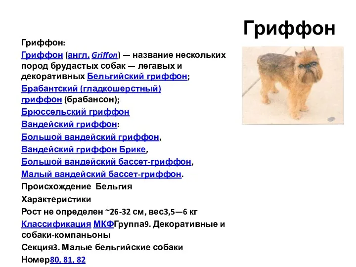 Гриффон Гриффон: Гриффон (англ. Griffon) — название нескольких пород брудастых собак — легавых