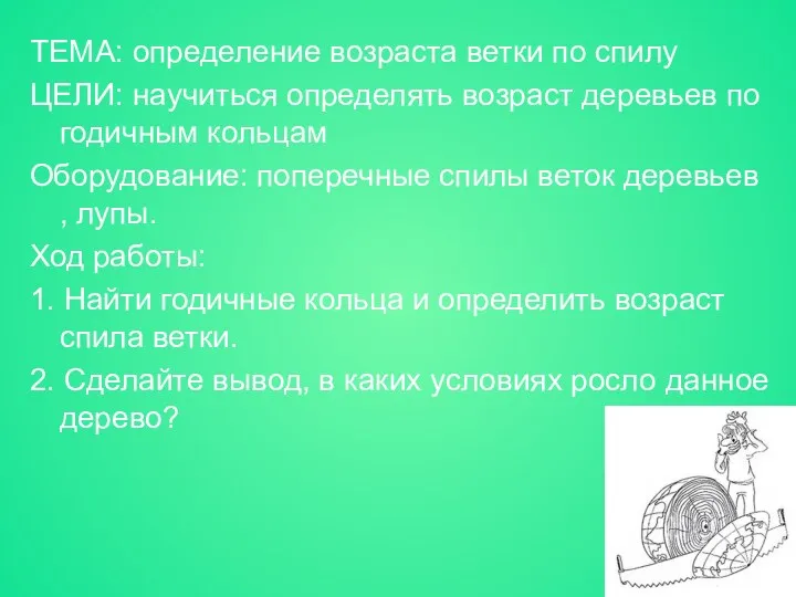 ТЕМА: определение возраста ветки по спилу ЦЕЛИ: научиться определять возраст деревьев по годичным