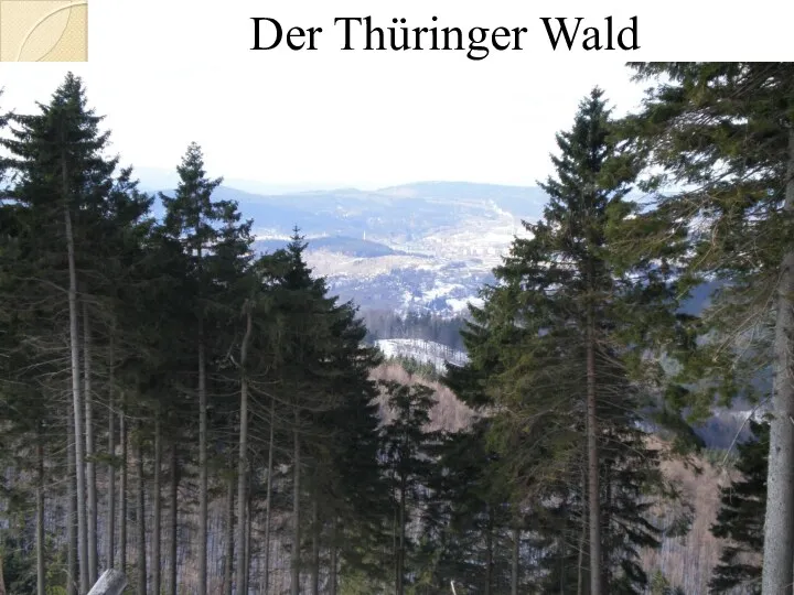 Der Thüringer Wald