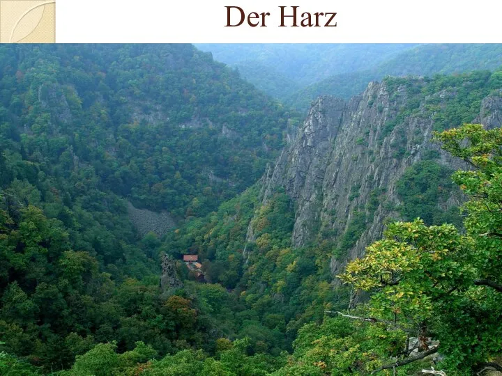 Der Harz