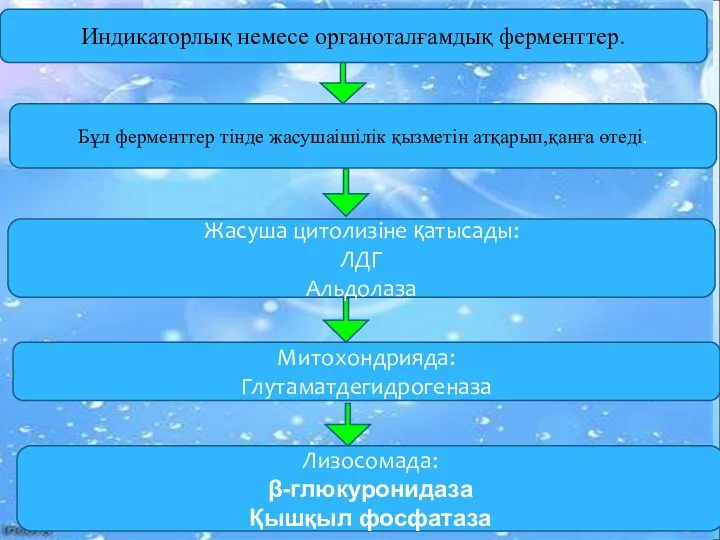 Индикаторлық немесе органоталғамдық ферменттер. Бұл ферменттер тінде жасушаішілік қызметін атқарып,қанға