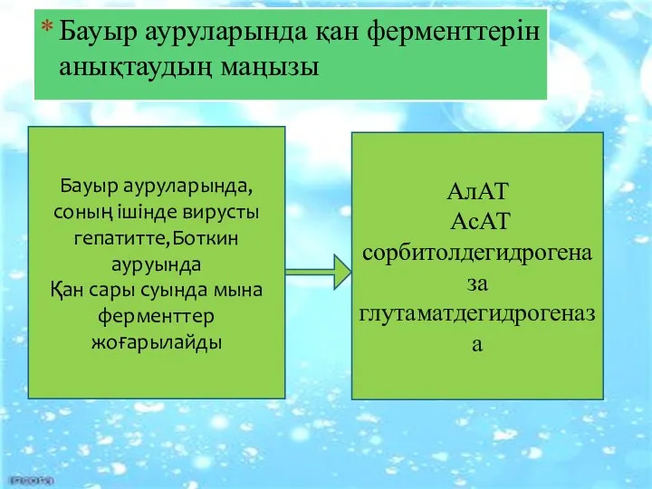 Бауыр ауруларында қан ферменттерін анықтаудың маңызы Бауыр ауруларында,соның ішінде вирусты