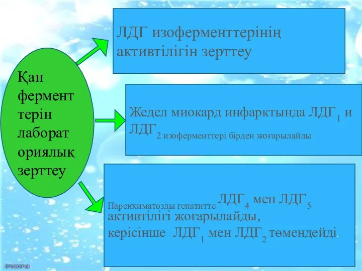 Қан ферменттерін лабораториялық зерттеу ЛДГ изоферменттерінің активтілігін зерттеу Жедел миокард