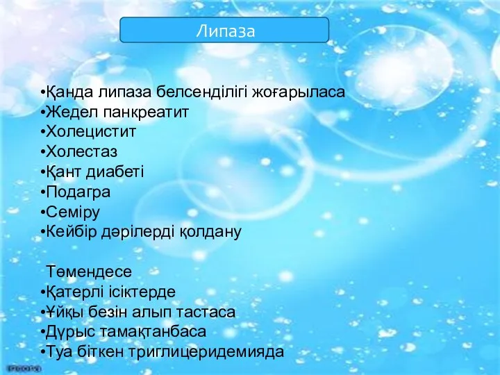 Липаза Қанда липаза белсенділігі жоғарыласа Жедел панкреатит Холецистит Холестаз Қант