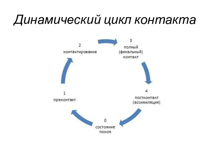 Динамический цикл контакта