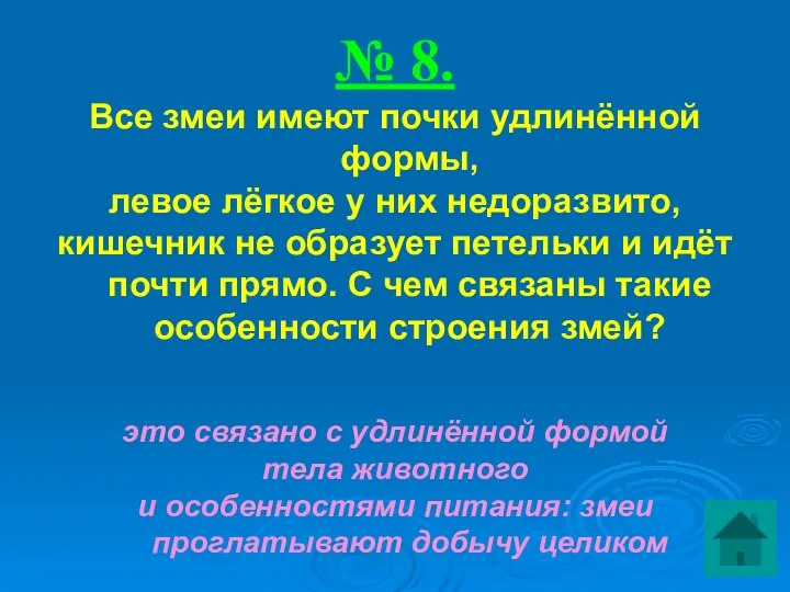 № 8. Все змеи имеют почки удлинённой формы, левое лёгкое