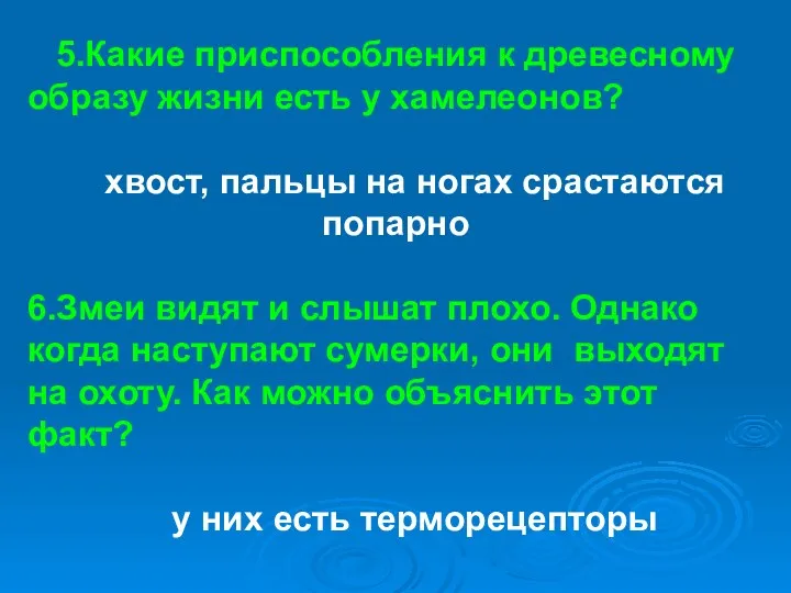 5.Какие приспособления к древесному образу жизни есть у хамелеонов? хвост,