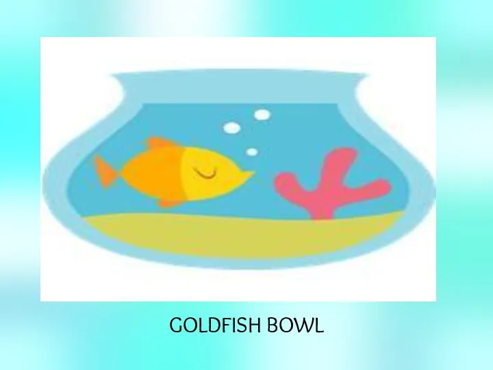 GOLDFISH BOWL